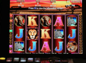 熊猫体育下载正式版